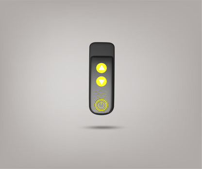 BlowR PRO Remote Control