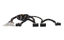 MATCH PP-BMW 1.9RAM-HK - Harness For MATCH UP 10DSP To Fit BMW Harman Kardon RAM Module (G Gen)